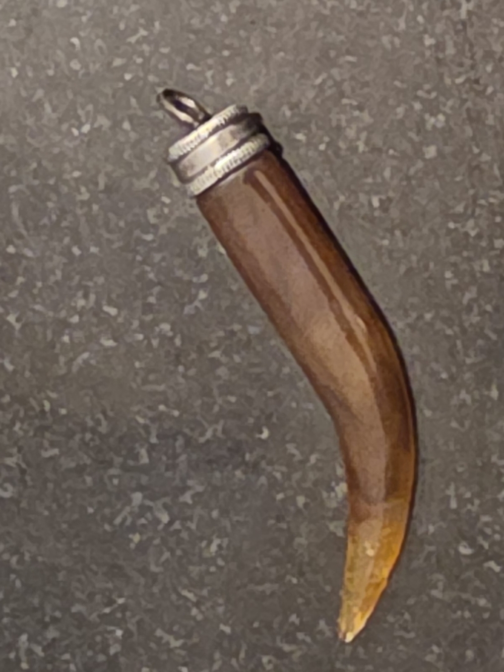 Silpada Brown Horn Pendant with Silver Cap